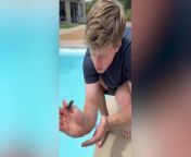 Robert Irwin saves tiny mouse from drowning in swimming pool: ‘Your father would be proud’ from tiny toon game godfather all screen 00 spider man