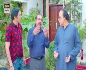 Bulbulay Season 2 Episode 246 20 April 2024 ARY Digital from iso in digital photography