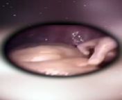 How we live inside the womb from star is born free download