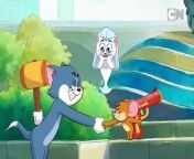 Compilation | Tom & Jerry | Cartoon Network from oggy cn cartoon