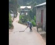 Insecticides kill venomous snakes from snake with gril busty big ass girl having