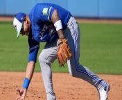 Orelvis Martinez's Impact on Blue Jays: Strategic Player Analysis from piece from the middle east scene