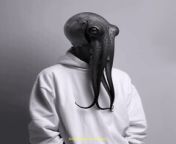 Prompt Midjourney : squid wearing a blank white crewneck sweatshirt, photorealistic, black and white streetwear photoshoot
