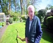 A man who lives in Sedgley has found for the second time a giant branch has fallen from a tree, that is on a footpath at the bottom of his garden. The first time it crushed his greenhouse, this time it very nearly hit him. According to the council the land is owned by The Earl of Dudley.