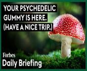 Magic mushroom edibles made with Amanita muscaria are on the rise thanks to a legal gray area. Meet the entrepreneurs bringing hallucinogenic treats to a smoke shop—or mailbox—near you.&#60;br/&#62;&#60;br/&#62;Read the full story on Forbes: https://www.forbes.com/sites/willyakowicz/2024/05/03/rise-of-psychedelic-mushroom-gummies-aminita-muscaria-polkadot/?sh=dc471358aacc&#60;br/&#62;&#60;br/&#62;Subscribe to FORBES: https://www.youtube.com/user/Forbes?sub_confirmation=1&#60;br/&#62;&#60;br/&#62;Fuel your success with Forbes. Gain unlimited access to premium journalism, including breaking news, groundbreaking in-depth reported stories, daily digests and more. Plus, members get a front-row seat at members-only events with leading thinkers and doers, access to premium video that can help you get ahead, an ad-light experience, early access to select products including NFT drops and more:&#60;br/&#62;&#60;br/&#62;https://account.forbes.com/membership/?utm_source=youtube&amp;utm_medium=display&amp;utm_campaign=growth_non-sub_paid_subscribe_ytdescript&#60;br/&#62;&#60;br/&#62;Stay Connected&#60;br/&#62;Forbes newsletters: https://newsletters.editorial.forbes.com&#60;br/&#62;Forbes on Facebook: http://fb.com/forbes&#60;br/&#62;Forbes Video on Twitter: http://www.twitter.com/forbes&#60;br/&#62;Forbes Video on Instagram: http://instagram.com/forbes&#60;br/&#62;More From Forbes:http://forbes.com&#60;br/&#62;&#60;br/&#62;Forbes covers the intersection of entrepreneurship, wealth, technology, business and lifestyle with a focus on people and success.