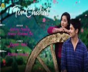तोर चाहत _ Tor Chahat _ Cg Song _ Audio Song _ Rishiraj _ Shweta _ Abhishek _ Deepali _Romantic Song from pvt drama chahat song mp3