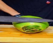 beautiful green coconut ASMR #satisfying from blackpink ice cream vimeo