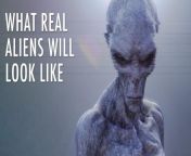 Would Aliens Look Like Humans? | Unveiled from man human resources
