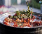 Embark on a culinary journey through the heart of New Orleans, discovering the city&#39;s best authentic seafood restaurants. From the iconic GW Fins in the French Quarter, offering a global seafood showcase, to the intimate charm of Casamento&#39;s, each spot immerses you in the rich flavors and history of Louisiana&#39;s culinary treasures.&#60;br/&#62;https://www.youtube.com/watch?v=8qDunrPryZA