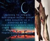 In this video I will share with you my incredible adventures on the Dnieper River!&#60;br/&#62;Watch the video, like, write comments!&#60;br/&#62;And remember:&#60;br/&#62;Fishing is not just catching fish, it is the euphoria of unity with nature, relaxation for soul and body!&#60;br/&#62;Fishing is adrenaline, struggle, and the triumph of a trophy!&#60;br/&#62;Fishing is an exciting sport that is available to everyone!&#60;br/&#62;Fishing is fun with friends and affection with family!&#60;br/&#62;Fish with unbridled pleasure!&#60;br/&#62;#fishingequipment #spinningraid #fishingcompetitions #autumnfishing #fishingsuit #spinninglegends #fishingvacation #carpfishing #fishingsource #spinningtechniques&#60;br/&#62;#fishingchastushka #fishing #biggame #spinning #float #largefish #vidirib #fishing #sportfishing #fishing #bait #pikeperch #pikeperch