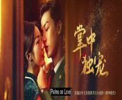Palms on Love (2024) ep 10 chinese drama eng sub