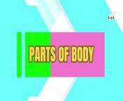 This video explores the fascinating world of human anatomy, making learning fun and engaging. Expand your kids&#39; English vocabulary with this captivating exploration of body parts names.&#60;br/&#62;&#60;br/&#62;#LearnBodyParts #BodyPartsForKids #HumanBody #KidsEnglish #Vocabulary #EducationalVideo #BrightSparkStation #KidsLearning #AnatomyFun #cocomelon #nurseryrhymes #trending #kidsvideo