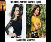 sumbul iqbal &#124; Actress &#124; drama &#124; #shorts #trending #viral #youtube #reels #youtuber #ytshorts&#60;br/&#62;Please Follow My Channel And Hit The Love Like Button&#60;br/&#62;Thanks In Advance