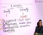 cholinergic drugs | ANS | MBBS 2nd year | pharmacology from mahi ans video
