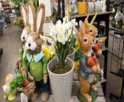 With Spring officially here from the 20th March, we visit Otley Garden Centre for some gardening inspiration for the season.