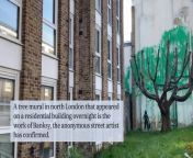 Finsbury Park mural: Banksy confirms he is behind north London tree graffiti