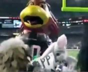 Compilation of various Mascot of a variety of funny clips