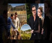They’re still fighting over finances, custody of their children — and their French vineyard, Château Miraval.&#60;br/&#62;&#60;br/&#62;In the Miraval fight, Pitt is suing Jolie for alleged breach of contract after she sold her share of the estate to Russian oligarch Shefler, allegedly without the actor’s agreement or knowledge.&#60;br/&#62;&#60;br/&#62;Los Angeles Superior Court this week ruled that the case could go to trial, setting the scene for a courtroom clash.&#60;br/&#62;&#60;br/&#62;