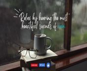 Soothing Rainstorm 60 Minutes of Calming Rain Sounds for Sleep and Meditation