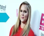 Amy Schumer has received a great deal of backlash over her recent video release of a spoof of Beyonce&#39;s Formation. Critics are saying the spoof is racially insensitive although it was released on Tidal, a company owned by Beyonce and her husband Jay-Z.