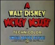Mickey's Elephant (1936) from elephants