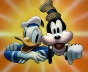 Donald Duck - Billposters - 1940 Disney Toon from vio toon