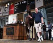 The daughter of wonder mare Winx was sold for a record &#36;10 million at the Inglis Australian Easter Yearling Sale at Warwick Farm, in Sydney.