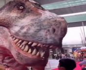 T-REX IN REAL LIFE from bangla rex song video