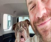 Guy goes to the shelter to rescue the oldest dogs there and immediately takes them on a shopping spree