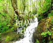 Mellow Relaxation Music - Serene Melodies for Deep Meditation, Stress Reduction, Sleep Aid from m ario and luigi deep castle orchestra