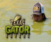 EarthX Website: https://earthxmedia.com/ &#60;br/&#62;&#60;br/&#62;All hand are on deck...er, under water...to catch a crew of baby gators.&#60;br/&#62;&#60;br/&#62;About Texas Gator Savers: &#60;br/&#62;From reptiles in swimming pools to gators stranded after hurricanes, Gary Saurage and his team rescue alligators from unusual places and prepare them for life in their new home - &#92;
