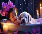 Lullaby music for baby to sleep well in 3 minutes. Gentle music, flowing water #8