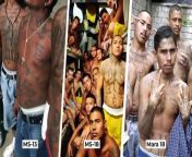TOP A Day In The Life Of An MS 13 Hitman