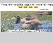 Animal funny video from indian village jija sali
