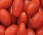 8 Tips for Growing Cherry Tomato Plants That Will Thrive All Season from fastest growing jobs