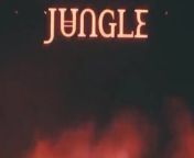 Coachella: Jungle Full Interview from mp3 song angela video jungle