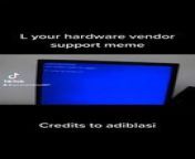 L your hardware vendor support meme from sanny l sal