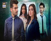 Hasrat Episode 6-8 May 2024 ARY Digital Drama from mgr rikchakaran digital movie