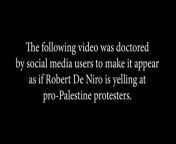 Fact check: Robert De Niro is NOT shouting at pro-Palestinian protesters in viral video from videostudio pro 2020