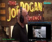 Episode 2145 Tucker Carlson - The Joe Rogan Experience Video&#60;br/&#62;Please follow the channel to see more interesting videos!&#60;br/&#62;If you like to Watch Videos like This Follow Me You Can Support Me By Sending cash In Via Paypal&#62;&#62; https://paypal.me/countrylife821 &#60;br/&#62;