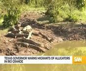 Texas Gov. Abbott warns migrants of alligators in Rio Grande_Low from rio uchida