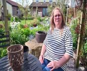 Meet Rachel Glover at her lovely garden: Spring Cottage, in Bishops Wood, on the Shropshire border. She is opening this weekend for the NGS. She has changed career and is herself now a fully fledged garden designer.