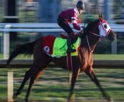 Kentucky Derby Preview: Some Top Picks and Dark Horses from jarreg a video leone new inc