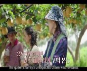 Queen of Tears (2024) Special 1 Episode 16 English Sub - LAT Channel
