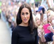 An extension to her trademark application for her new business is said to show Meghan, Duchess of Sussex is aiming to make cash from it by selling products including dog treats and chicken feed.