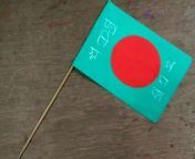 How to make National flag in Bangladesh from bangladesh tangail noti para