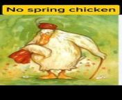 No spring chicken&#60;br/&#62;In hot water&#60;br/&#62;Cool as cucumber