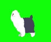FREE to use.&#60;br/&#62;Cute Dog &amp; Puppy - Cartoon Animation Green Screen FREE Copyright - AGS.&#60;br/&#62;